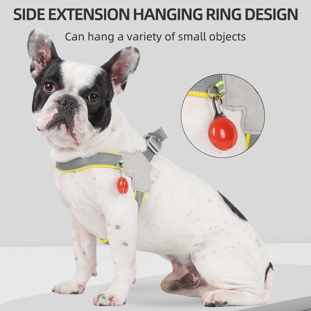 "Paws Reflective Vest Harness" - Frenzy