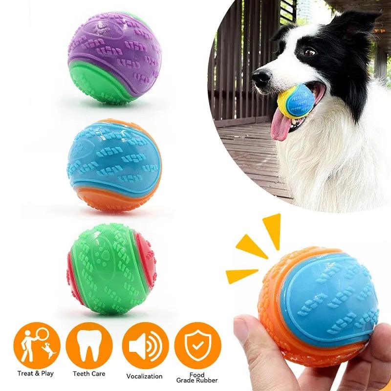 Interactive Squeaky Ball Dog Toy - Frenzy
