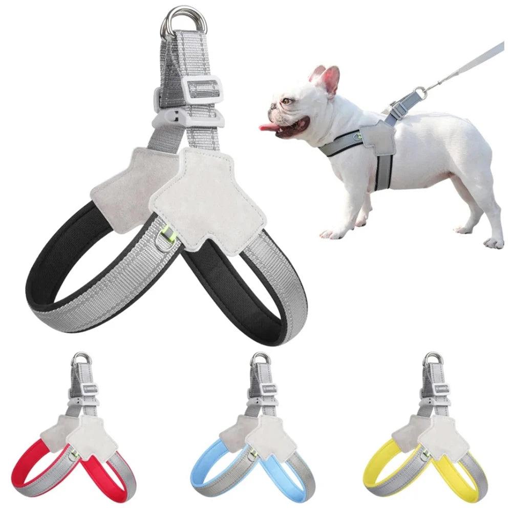 "Paws Reflective Vest Harness" - Frenzy