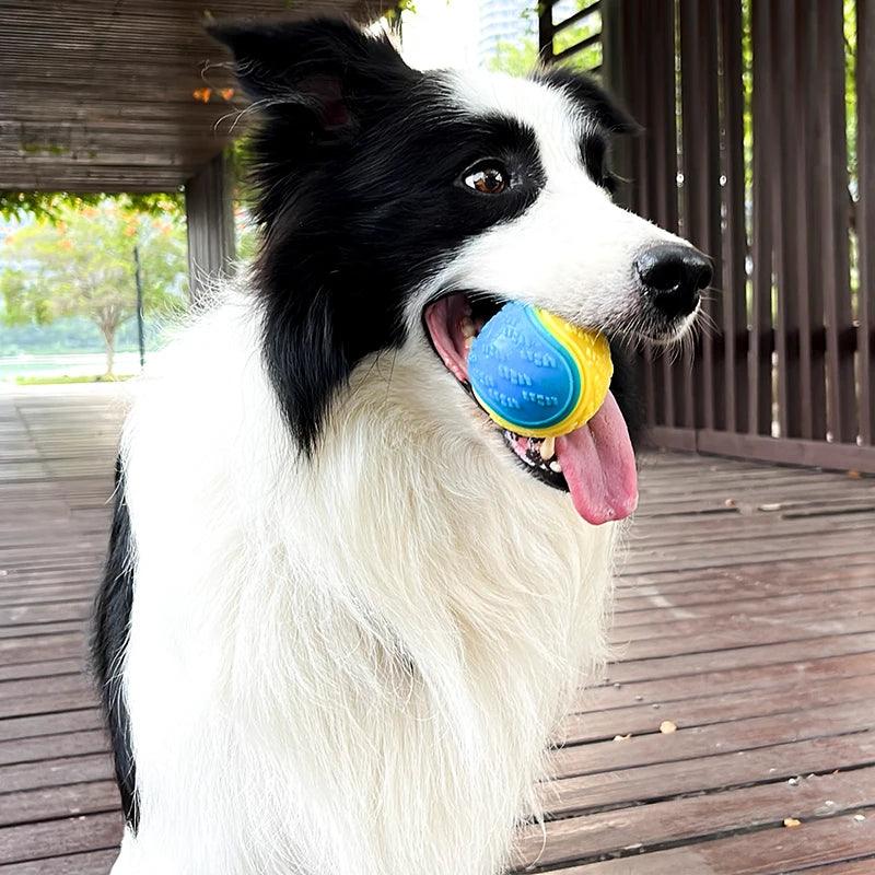 Interactive Squeaky Ball Dog Toy - Frenzy